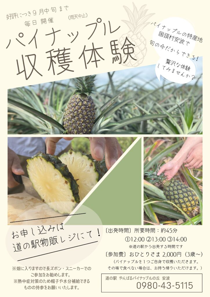 みちの駅 やんばるパイナップルの丘 安波